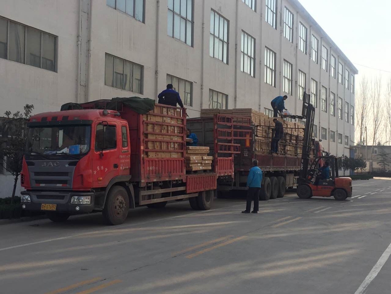 草莓视频在线免费下载草莓视频污在线温暖出发